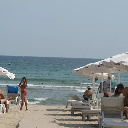 The Paradise *